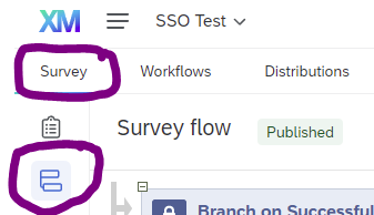 Screenshot of the survey interface highlighting survey flow